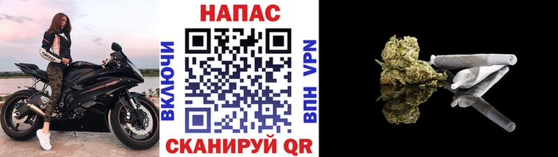 Бошки Шишки Севастополь