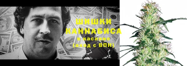 ПСИЛОЦИБИНОВЫЕ ГРИБЫ Абдулино